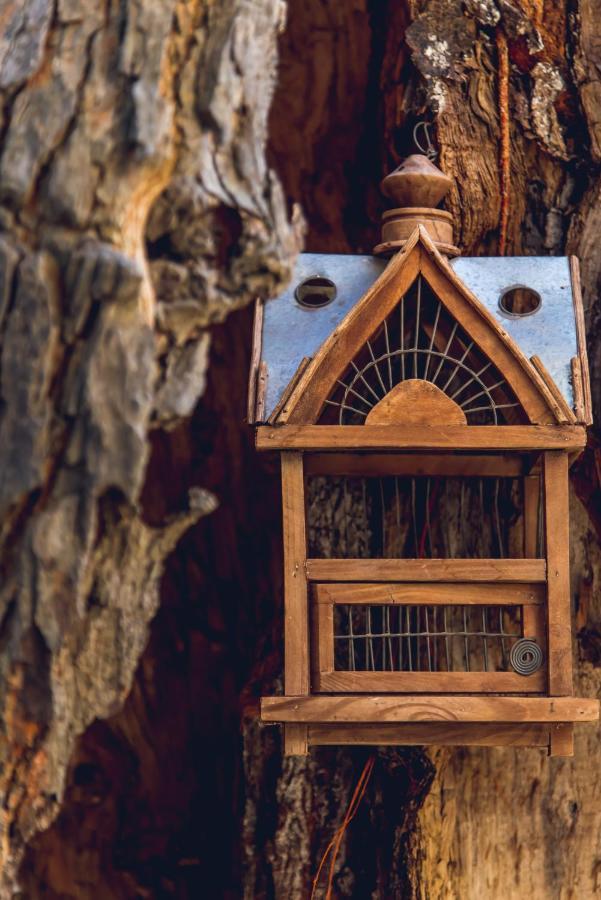 Traditional Guesthouses Xenofon Drymon Exterior foto